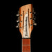 Pre Owned Rickenbacker 1993 Plus 12 String Mapleglo Semi Hollow Electric Guitar Townshend With OHSC