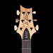 PRS Swamp Ash Special Rosewood Jasper Smokeburst with Gig Bag