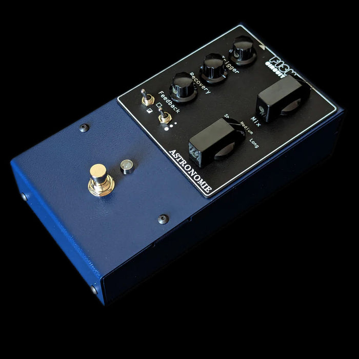 Fish Circ uits Astronomie Reverb Side Angle