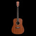 Martin D-X1E Mahogany Acoustic-Electric Guitar Front