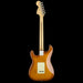 Fender American Performer Stratocaster Rosewood Fingerboard Honey Burst Back