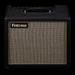 Friedman JJ-JUNIOR Jerry Cantrell Signature 1x12" 20-Watt Guitar Amp Combo Front Angle