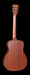 Martin LX1E Back