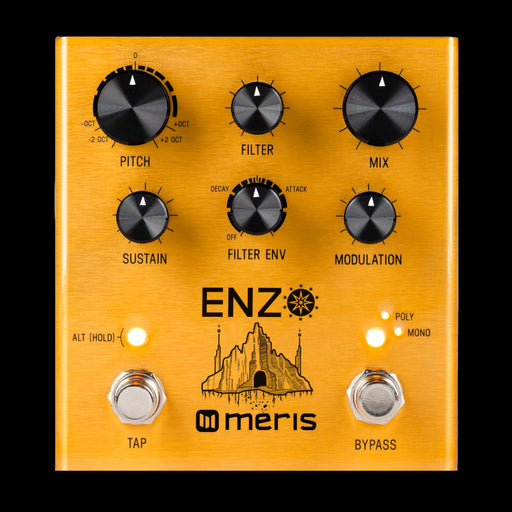 Meris Enzo Multi-Voice Synthesizer Guitar Effect Pedal