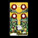 Intersellar Audio Neptunian Phaserang Four Stage Phase Modulation Pedal Front