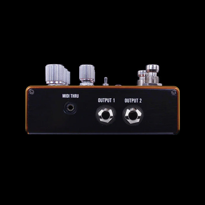 Source Audio Pathways Reverb and Tremolo Pedal RIght