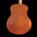 Taylor Special Edition Guitars 4 Vet GS Mini Americana Back Crop