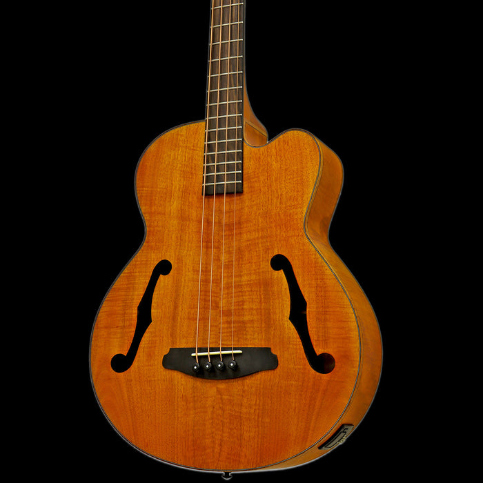 Aria FEB-F2M-STBR Medium Scale Fretted Stained Brown Acoustic Bass