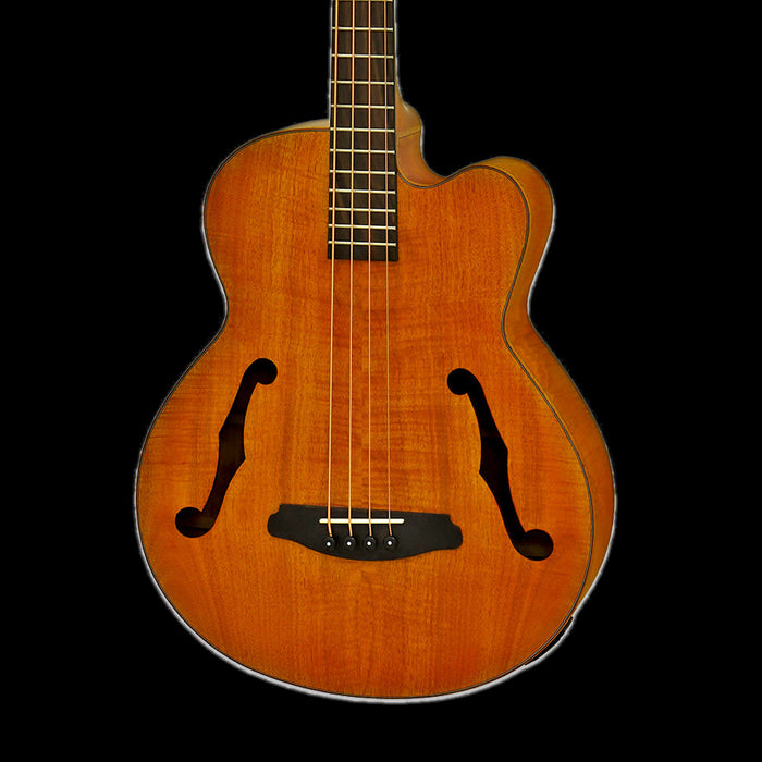 Aria FEB-F2M-STBR Medium Scale Fretted Stained Brown Acoustic Bass