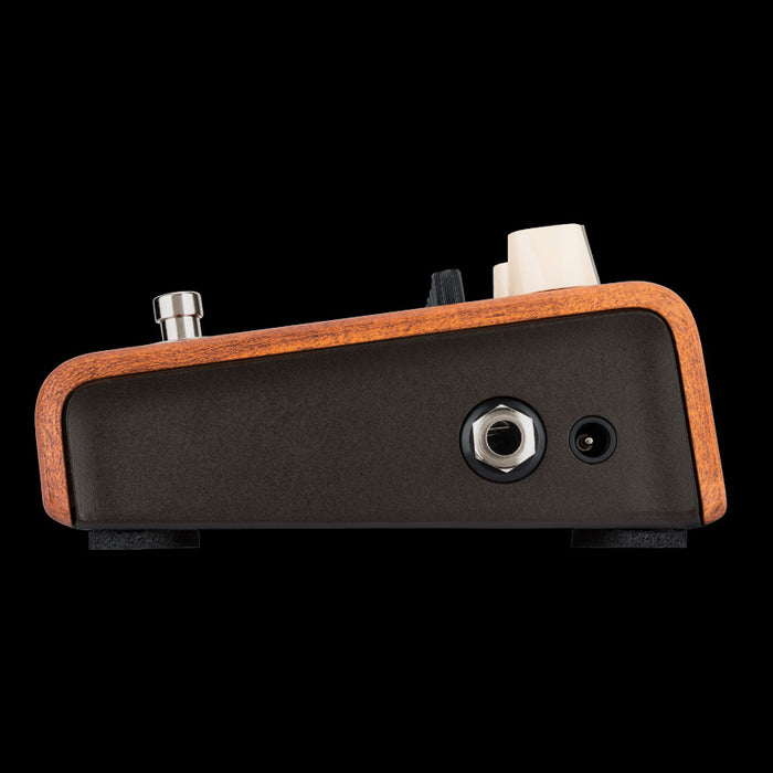 LR Baggs Align 6 Band EQ Acoustic Pedal Left Side 