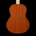 Kremona Green Globe Kremona S65C GG Classical Guitar Back Crop