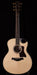 Taylor Builder's Edition 816ce Acoustic Electric Guitar