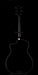 Taylor 214ce DLX LTD Trans Grey Acoustic Electric Guitar With Case