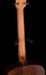 Taylor GT Urban Ash  Acoustic Guitar