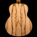 Taylor GS Mini-e Ziricote Acoustic Electric With Gig Bag