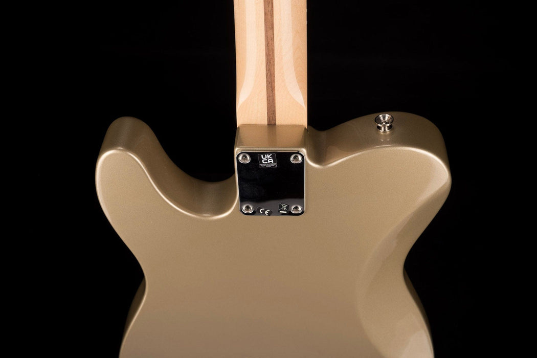 Used Chris Shiflett Telecaster Deluxe Shoreline Gold with OHSC