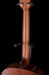 Taylor GTe Mahogany Acoustic-Electric Guitar With Aerocase