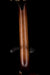 Taylor 914ce LTD AA-Grade Figured Hawaiian Koa With Case