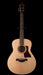 Taylor GT Urban Ash  Acoustic Guitar