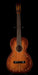 Pre Owned Regal Luann 1920's Floral Parlor Acoustic Guitar With SSC