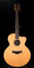 Pre Owned 1997 Taylor Leo Kottke 12-String With Case