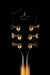 Pre Owned D'Angelico EX-63 With DeArmond Rhythm Chief Pickup With Case