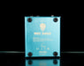 Used Way Huge WHE707 Supa-Puss Analog Delay Pedal With Box
