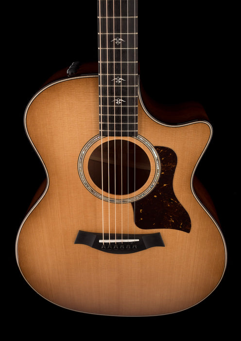Taylor Urban Ironbark 514ce Acoustic Electric Guitar With Case