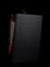 Carr 1x12 Super Bee Black with Red Stripe Tube Guitar Amp Combo