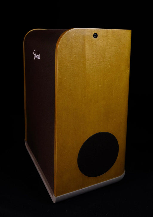 Used Fender Acoustic SFX Amp with Cover