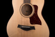 Taylor GT Urban Ash  Acoustic Guitar