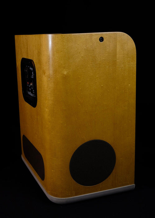 Used Fender Acoustic SFX Amp with Cover