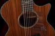 Taylor Custom Grand Auditorium Presentation/900 Series Honduran Rosewood and Sinker Mahogany With Case