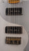 Fano Oltre Series TC6 P90 Light Distress Sonic Mary with Gig Bag