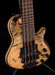 Mayones Cali4 Bass Mahogany Body Burl Maple Top Macassar Ebony Board 5pc Wenge Neck Sunburst Gloss Cali 4