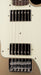 Used Chris Shiflett Telecaster Deluxe Shoreline Gold with OHSC