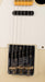 Fender Custom Shop Limited Edition Tomatillo Tele Journeyman Relic Tomatillo Green With Case