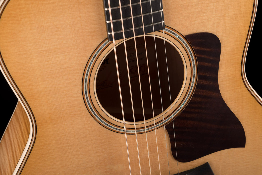 Taylor GT611e LTD Acoustic-Electric Guitar With Aerocase