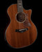 Taylor Custom Grand Auditorium Presentation/900 Series Honduran Rosewood and Sinker Mahogany With Case