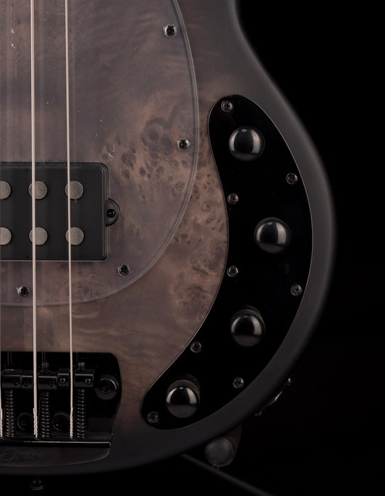 Sterling by Music Man StringRay Ray34 Poplar Burl Top Trans Black Satin