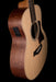 Taylor GS Mini-e QS LTD Acoustic Electric Guitar With Bag