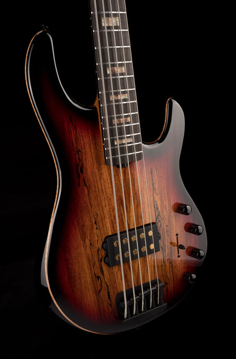 Ernie Ball Music Man 35th Anniversary StingRay 5 Spalted Sunburst
