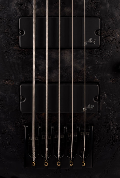 Mayones BE Elite EP 5 String Bass Guitar Trans Black Raw Eye Poplar Top With Case