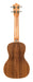 Lanikai ACST-C Acacia Concert Ukulele