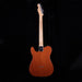 Used Fender Thinline Telecaster Partscaster US Neck Mahogany Fender Body