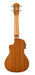 Lanikai MA-CEC Mahogany Concert with Kula Preamp Acoustic Electric Ukulele