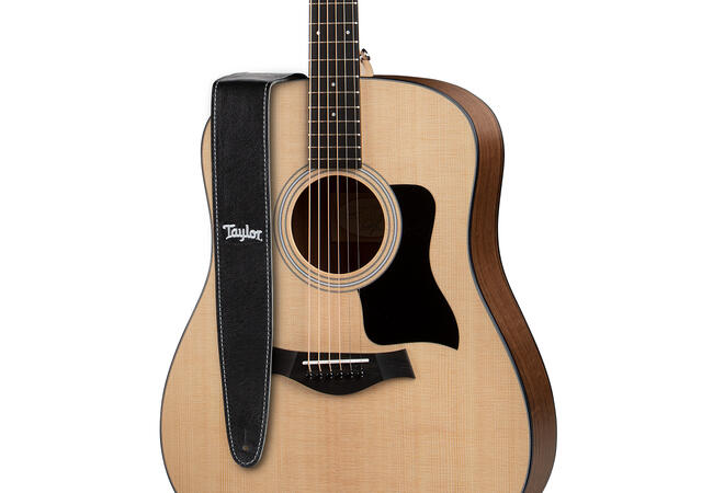 Taylor Gemstone Strap Sanded Suede Black 2.5"