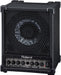 Roland CM-30 Monitor Amp Speaker